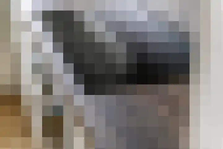 Scholekster 21 Maurik thumbnail 12