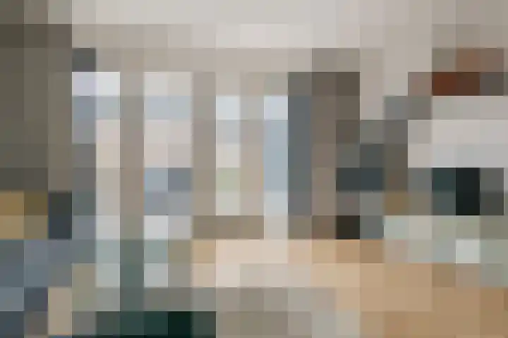 Scholekster 21 Maurik thumbnail 14