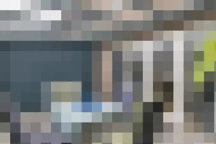 Scholekster 21 Maurik thumbnail 16
