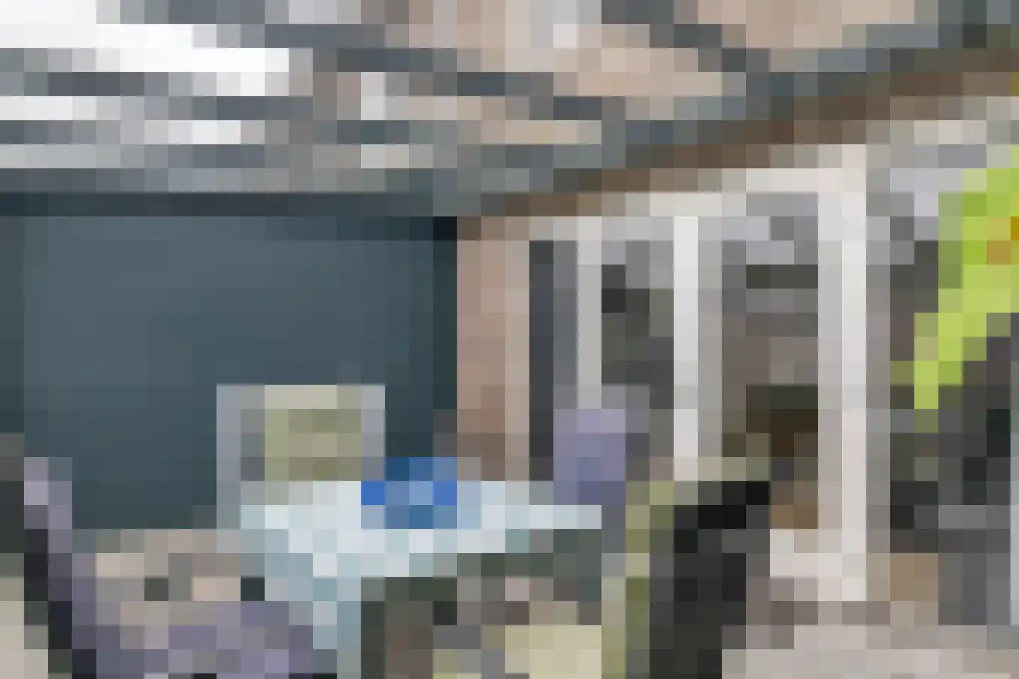 Scholekster 21 Maurik thumbnail 16