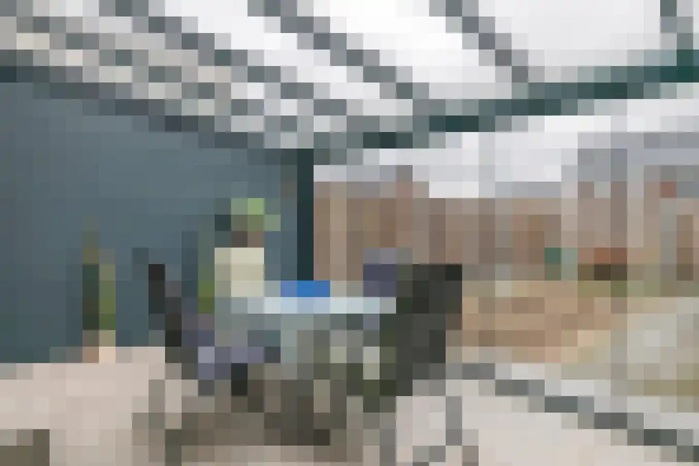 Scholekster 21 Maurik thumbnail 17