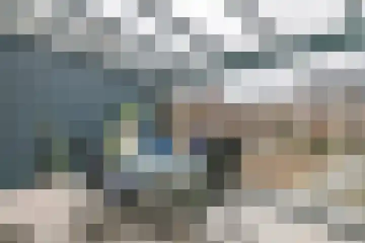 Scholekster 21 Maurik thumbnail 17