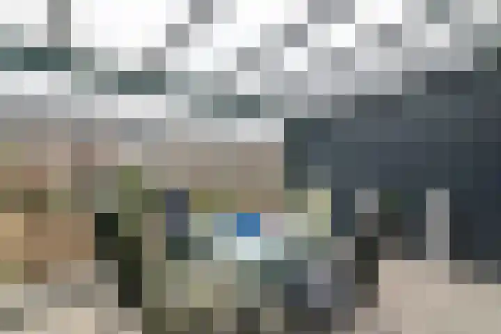Scholekster 21 Maurik thumbnail 18