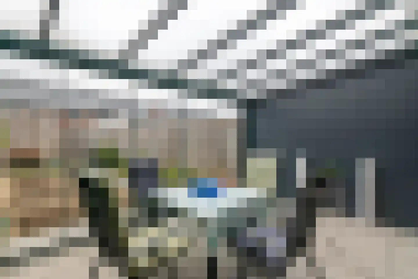 Scholekster 21 Maurik thumbnail 18