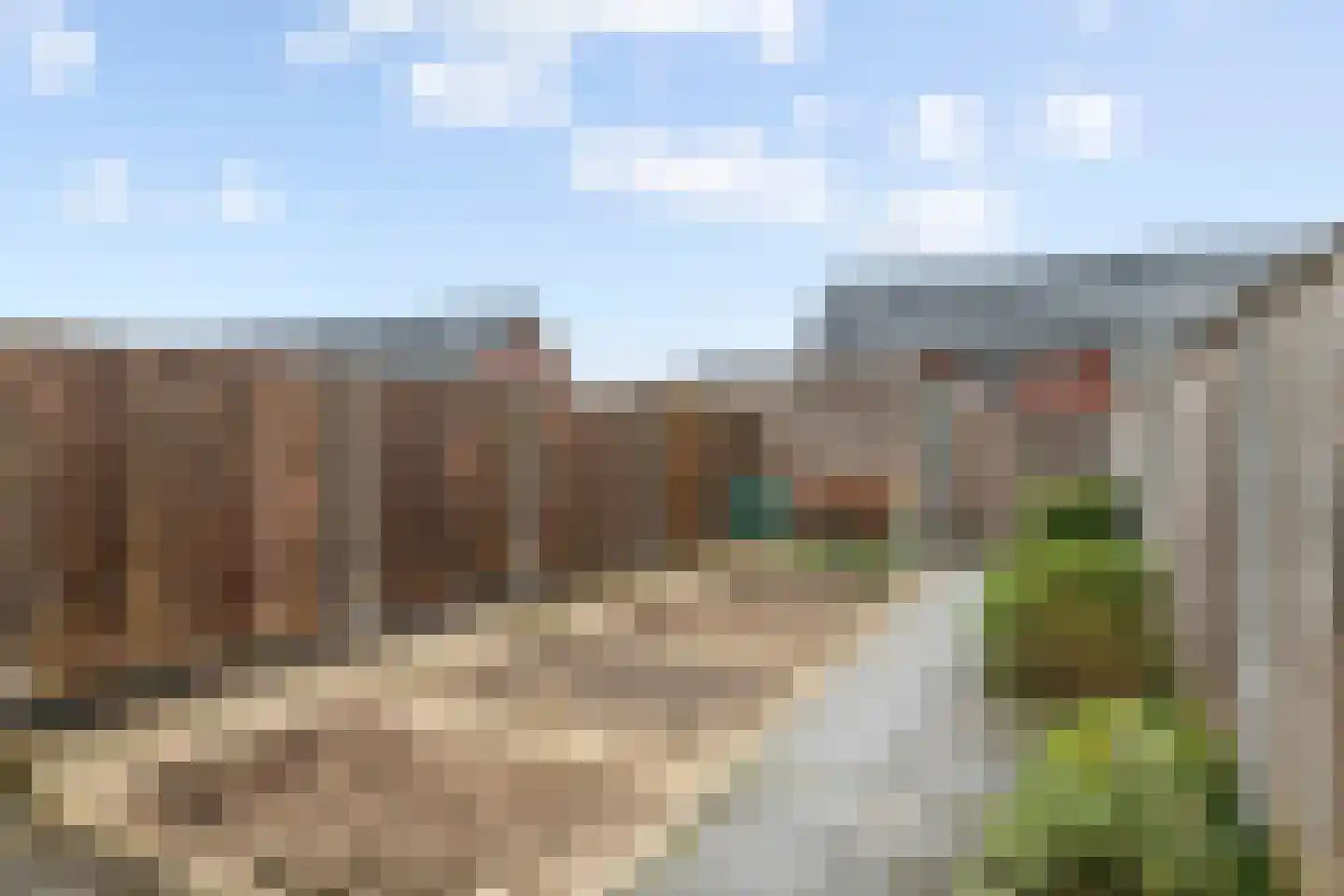 Scholekster 21 Maurik thumbnail 19