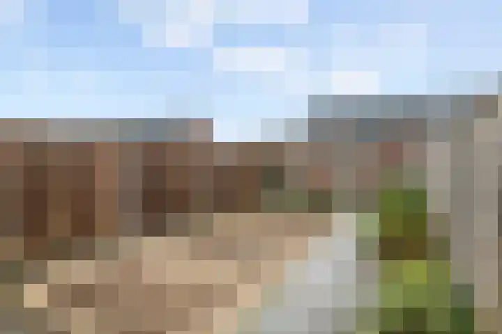 Scholekster 21 Maurik thumbnail 19