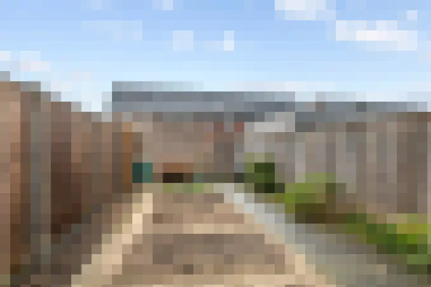 Scholekster 21 Maurik thumbnail 20
