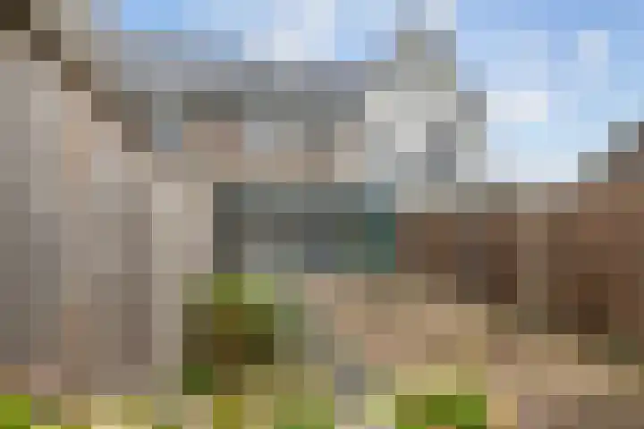 Scholekster 21 Maurik thumbnail 21