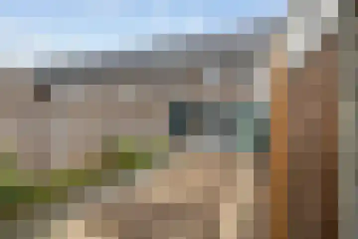 Scholekster 21 Maurik thumbnail 22