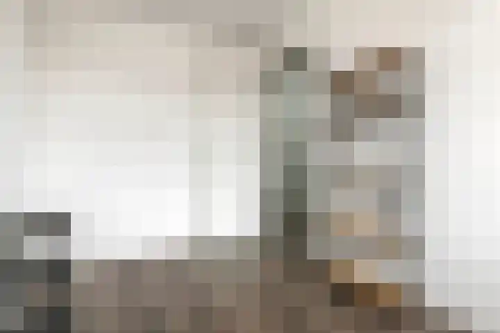 Scholekster 21 Maurik thumbnail 27