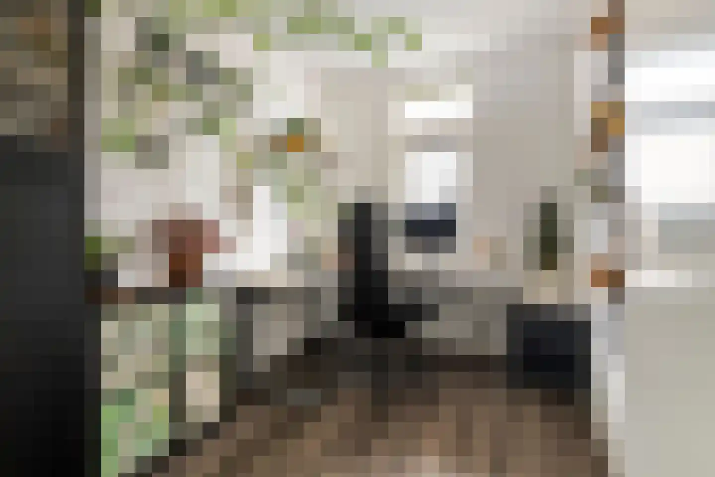 Scholekster 21 Maurik thumbnail 28