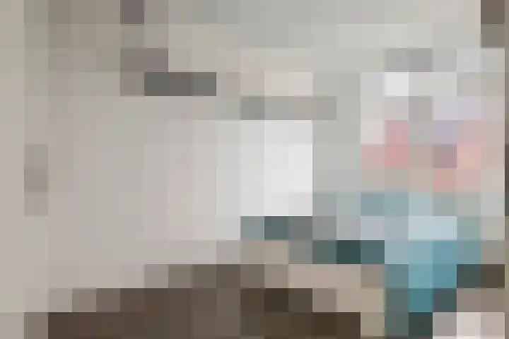 Scholekster 21 Maurik thumbnail 29