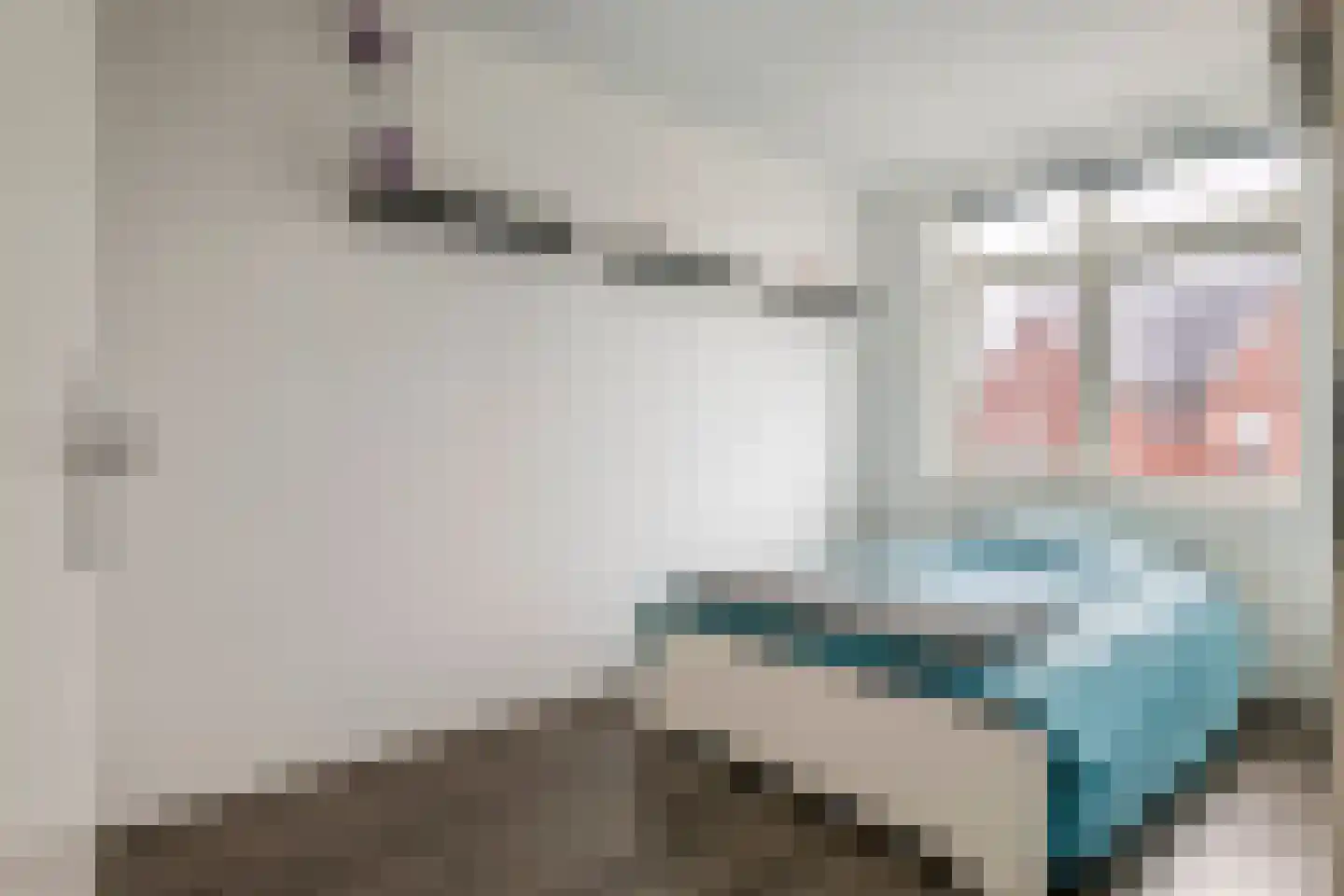 Scholekster 21 Maurik thumbnail 29