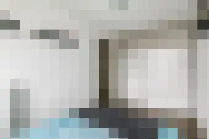 Scholekster 21 Maurik thumbnail 30