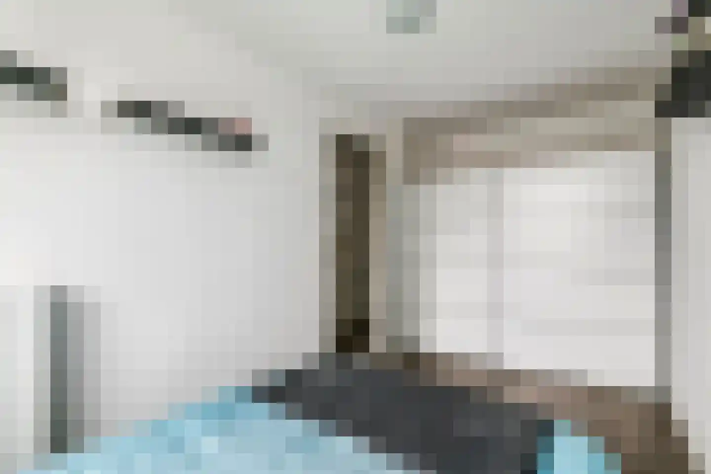 Scholekster 21 Maurik thumbnail 30