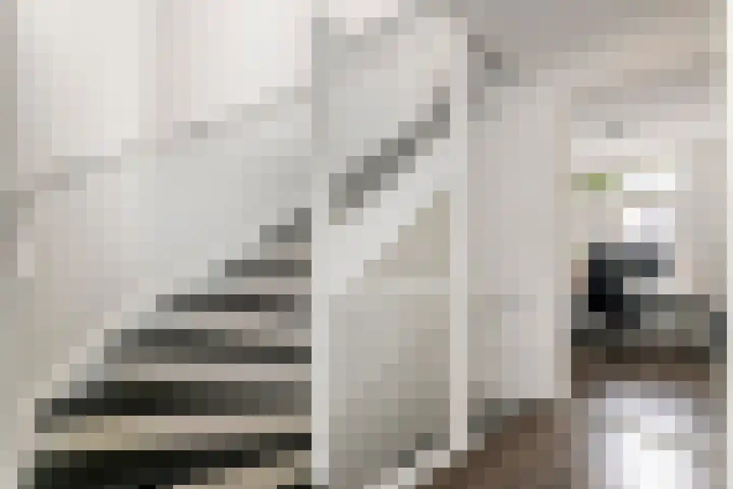 Scholekster 21 Maurik thumbnail 35