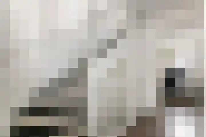 Scholekster 21 Maurik thumbnail 35