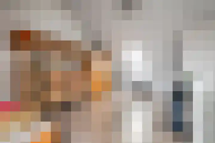 Scholekster 21 Maurik thumbnail 36