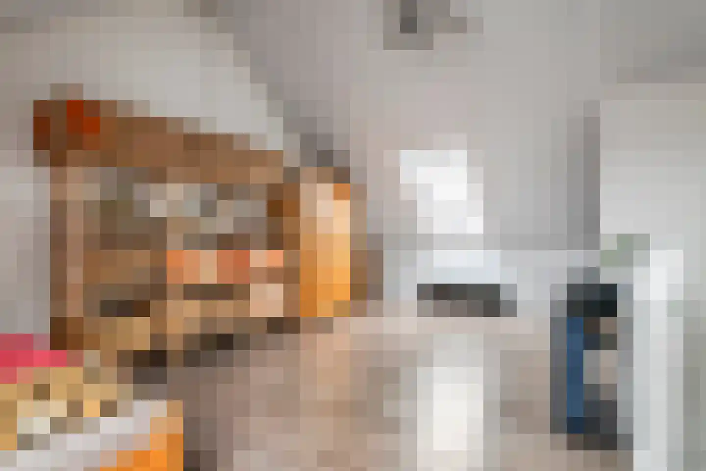 Scholekster 21 Maurik thumbnail 36