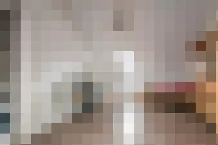Scholekster 21 Maurik thumbnail 37
