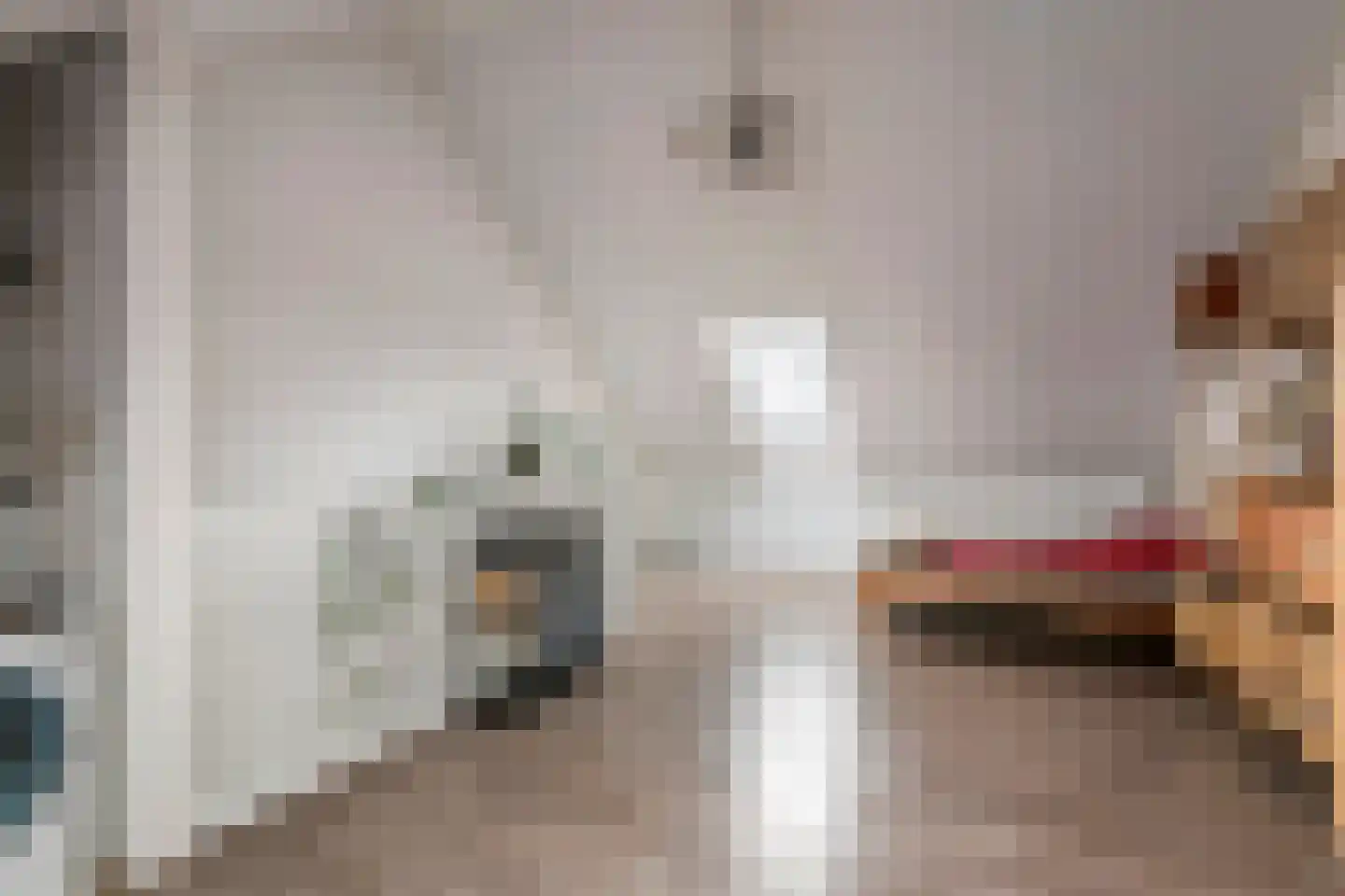 Scholekster 21 Maurik thumbnail 37