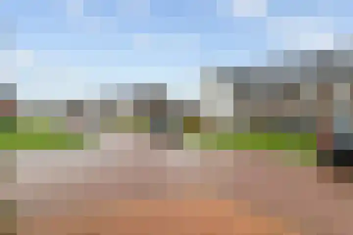 Scholekster 21 Maurik thumbnail 38