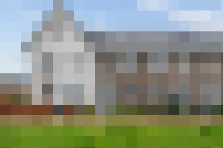 Scholekster 21 Maurik thumbnail 39