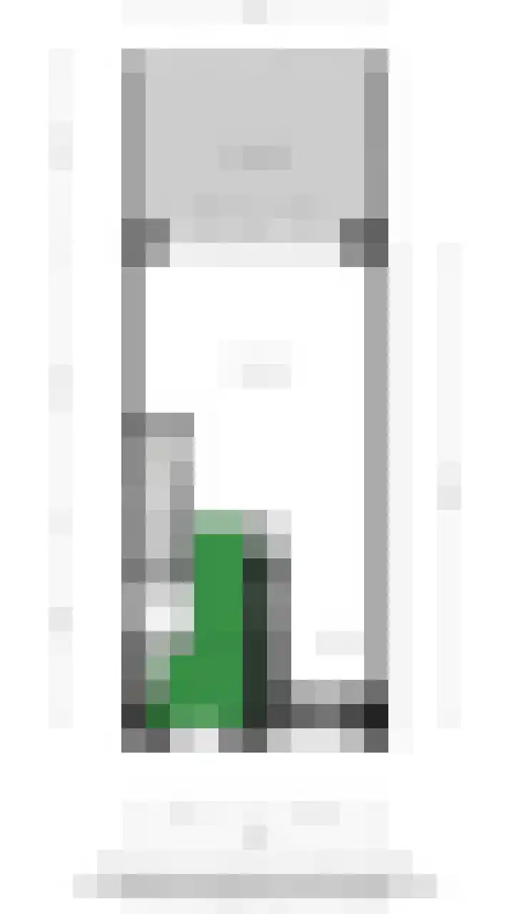 Scholekster 21 Maurik thumbnail 41