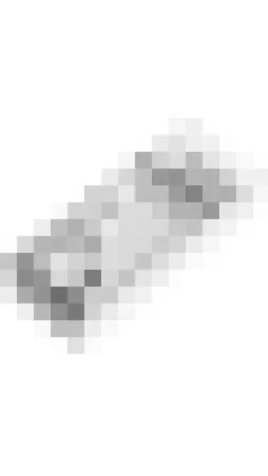 Scholekster 21 Maurik thumbnail 42