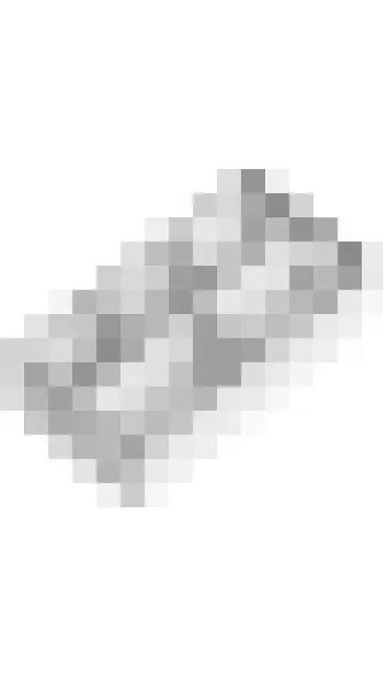 Scholekster 21 Maurik thumbnail 44