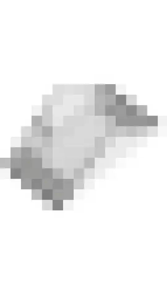 Scholekster 21 Maurik thumbnail 46