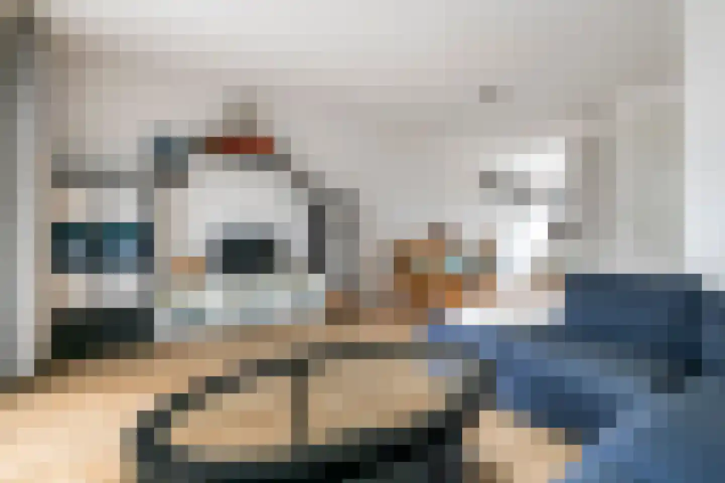 Scholekster 21 Maurik thumbnail 5