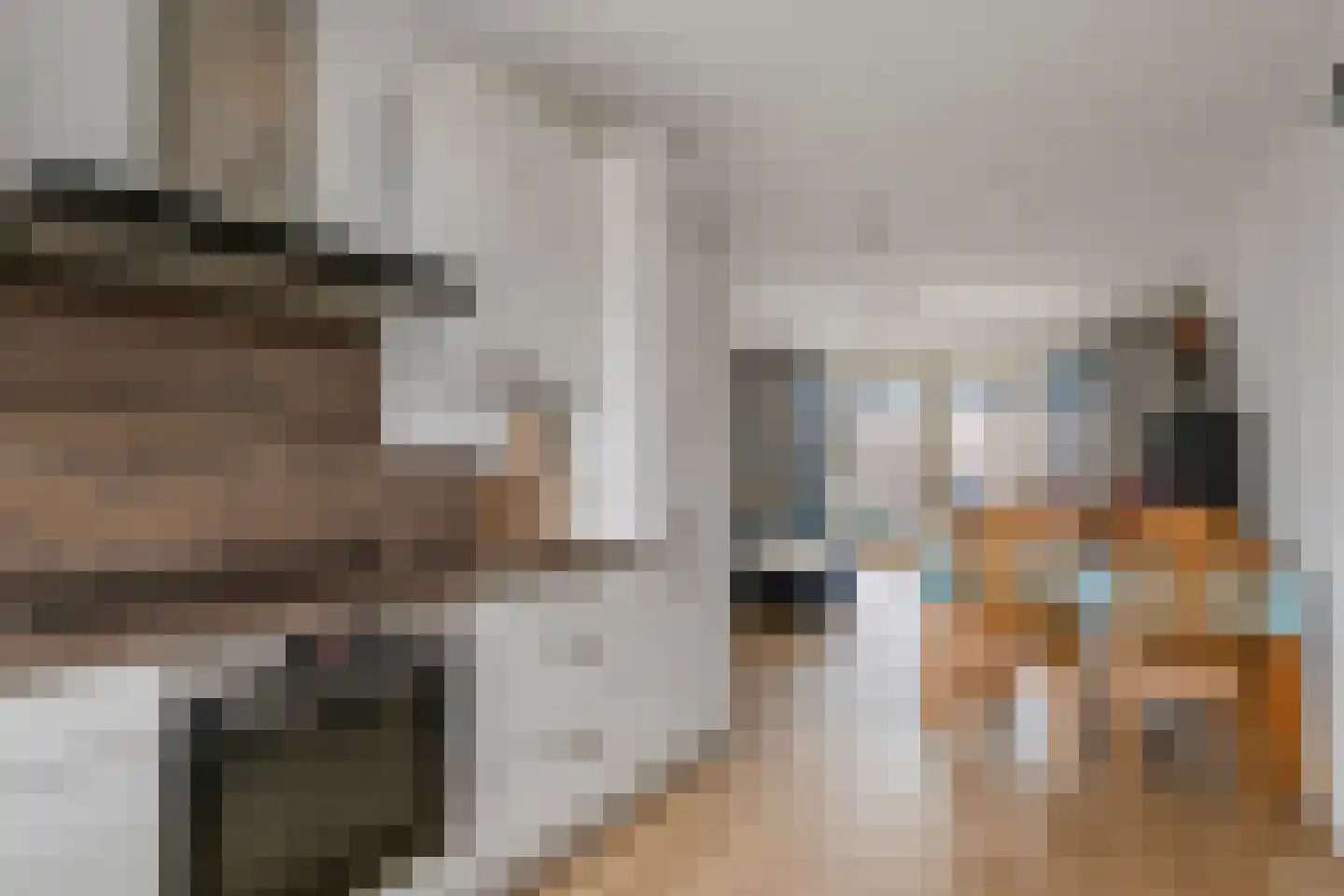 Scholekster 21 Maurik thumbnail 8