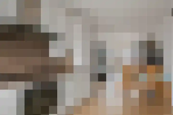 Scholekster 21 Maurik thumbnail 8