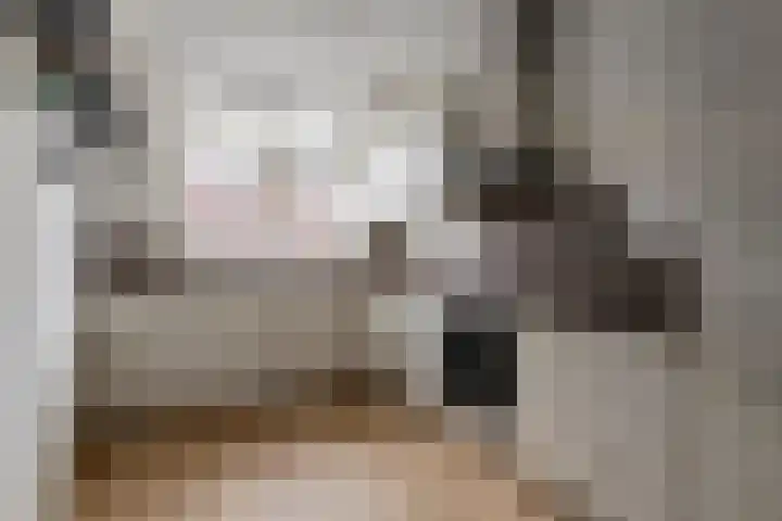 Scholekster 21 Maurik thumbnail 9