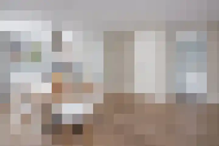 Scholekster 22 Hoogkarspel thumbnail 11
