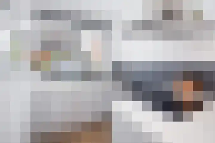Scholekster 22 Hoogkarspel thumbnail 12