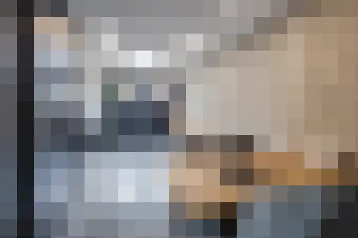 Scholekster 22 Hoogkarspel thumbnail 13