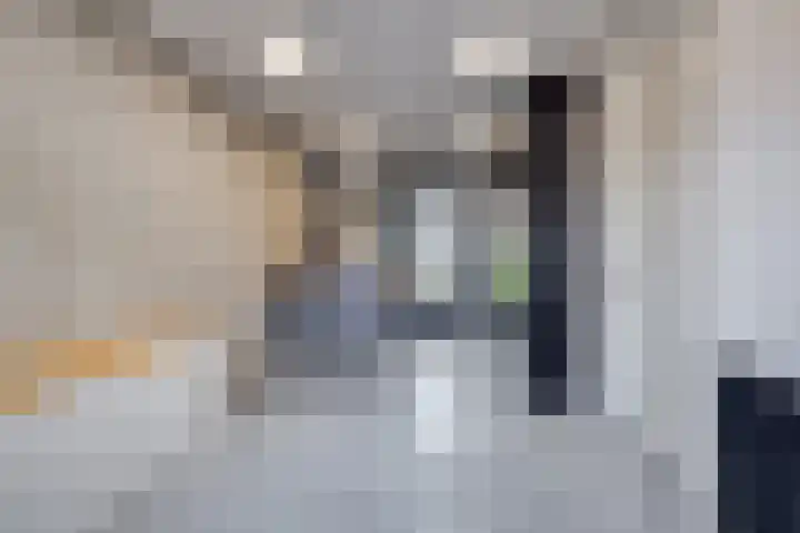 Scholekster 22 Hoogkarspel thumbnail 15