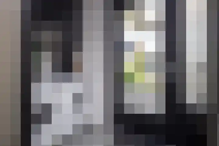 Scholekster 22 Hoogkarspel thumbnail 16