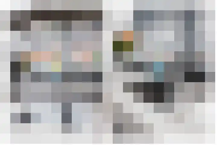 Scholekster 22 Hoogkarspel thumbnail 17