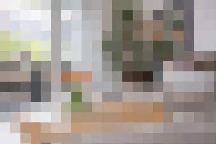 Scholekster 22 Hoogkarspel thumbnail 18