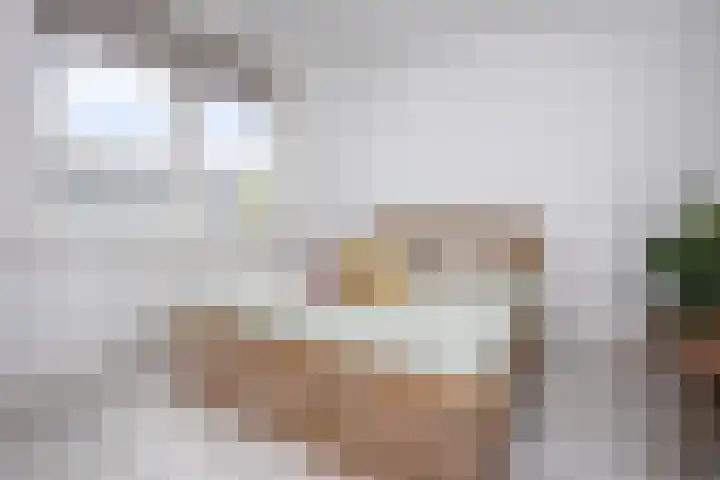 Scholekster 22 Hoogkarspel thumbnail 19