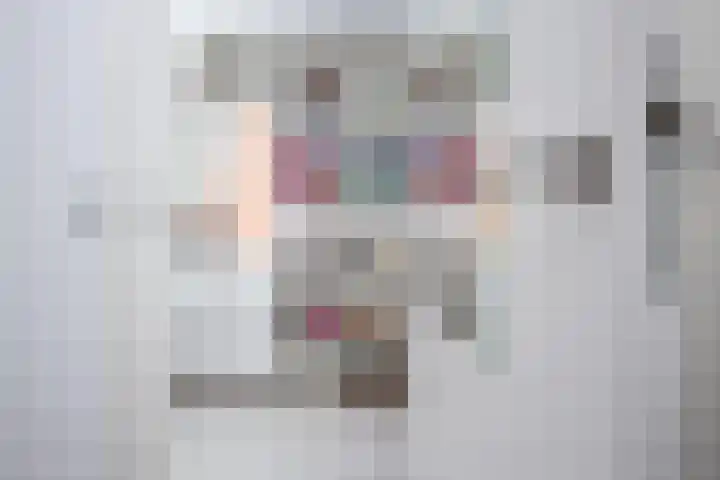 Scholekster 22 Hoogkarspel thumbnail 21