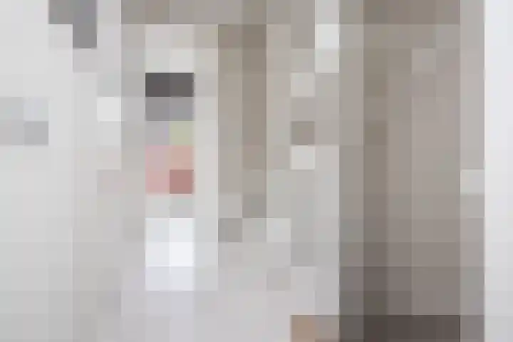 Scholekster 22 Hoogkarspel thumbnail 23