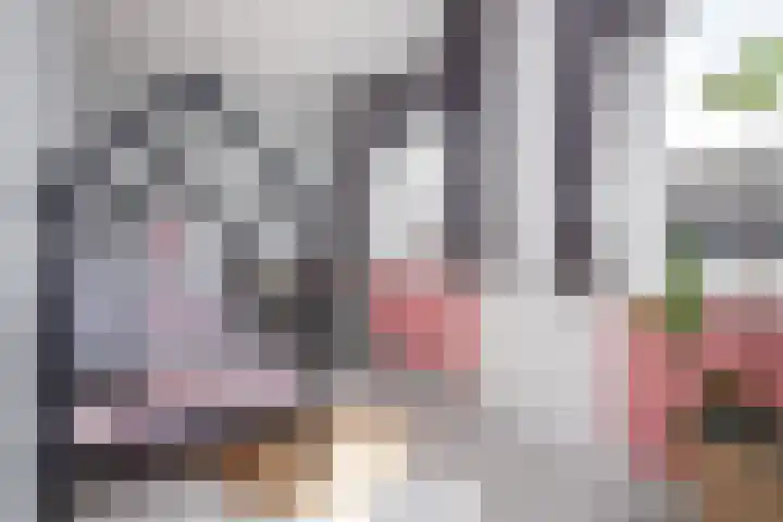 Scholekster 22 Hoogkarspel thumbnail 24