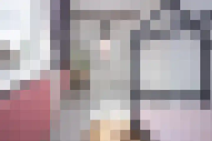 Scholekster 22 Hoogkarspel thumbnail 25