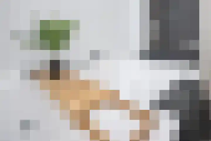 Scholekster 22 Hoogkarspel thumbnail 27