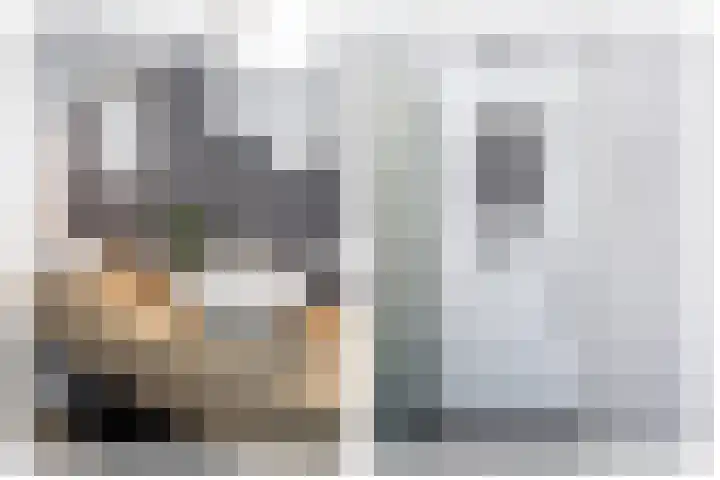 Scholekster 22 Hoogkarspel thumbnail 28