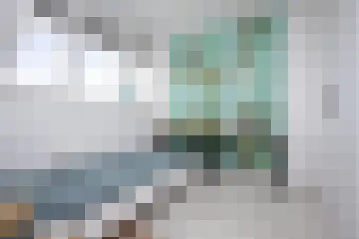 Scholekster 22 Hoogkarspel thumbnail 30